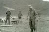 Gordon McLeod wondering what to do next. Al-Milah 1965